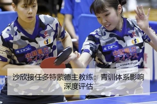 沙欣接任多特蒙德主教练：青训体系影响深度评估