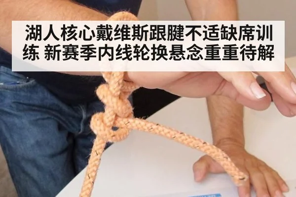 湖人核心戴维斯跟腱不适缺席训练 新赛季内线轮换悬念重重待解