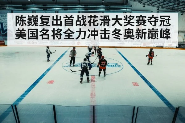winter olympics ice rink