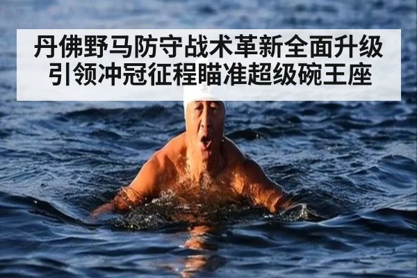 丹佛野马防守战术革新全面升级引领冲冠征程瞄准超级碗王座